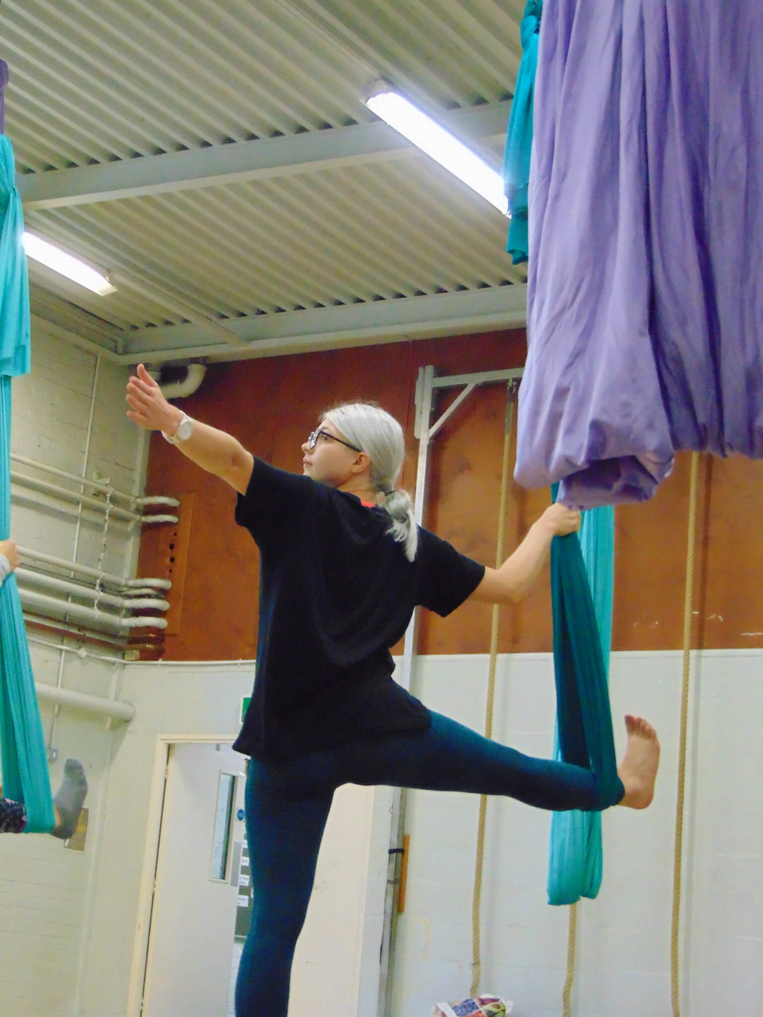 Educational Outreach Aerial Arts, Dance & Yoga Yodanga Arts